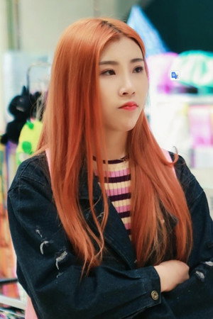 焦婷